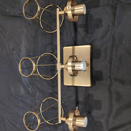 Dames 3 Light Vanity Light w/Cage