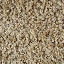 Preseason Toast Carpet